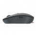 Lenovo Go USB-C Wireless Mouse datamus Ambidekstriøs RF kabel-fri Optisk 2400 DPI