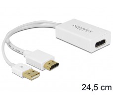 DeLOCK 62496 videokabelkobling 0,245 m DisplayPort HDMI + USB Hvit