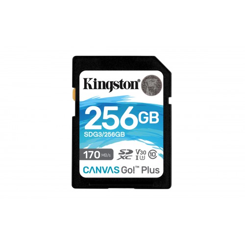 Kingston Technology Canvas Go! Plus 256 GB SD UHS-I Klasse 10