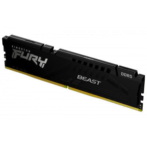 Kingston Technology FURY Beast minnemodul 16 GB 1 x 16 GB DDR5 5600 MHz