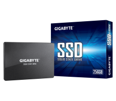 Gigabyte SATA SSD, 256GB
